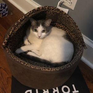 Meet your Posher, Cchristina